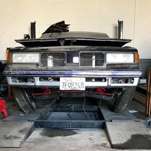 Meet your Posher, Scottie